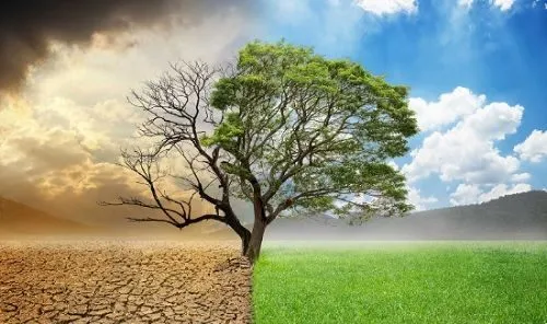 atraer la abundancia e1654167048473