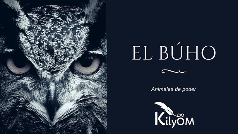 El buho Animales de poder KilyOM