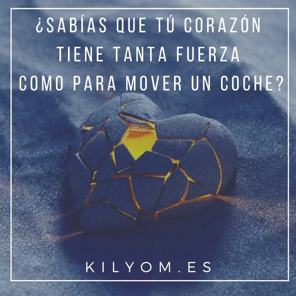 WhatsApp Image 2024 01 22 at 13.49.50