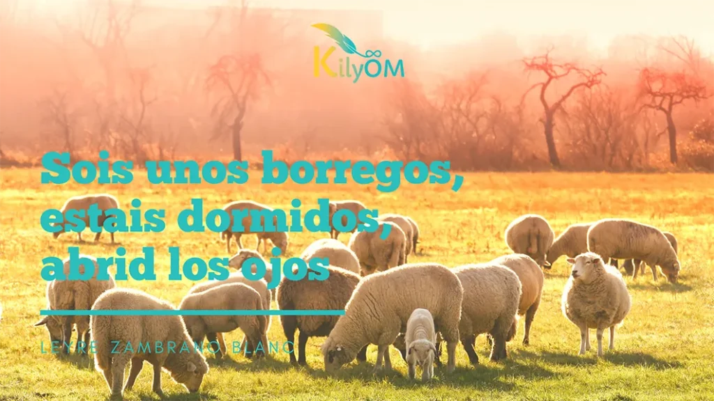 Sois unos borregos KilyOM